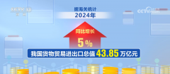 <strong>2024年我国外贸进出口成就亮眼 新动能加</strong>